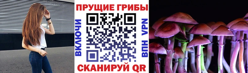Галлюциногенные грибы Psilocybe  Баймак 